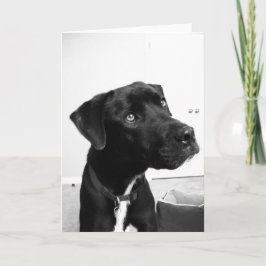 Denken aan jou op je verjaardag kaart