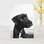 Denken aan jou op je verjaardag kaart (Gele Bloem)