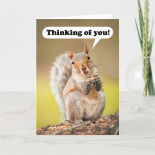 Denken aan jou op Summer Camp Talking Squirrel Feestdagen Kaart