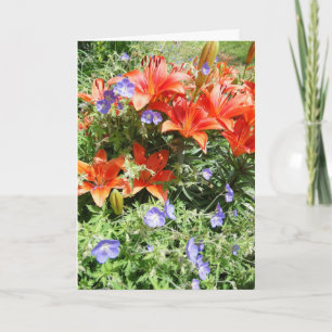 Denken aan jou, Oranje Lillies Kaart