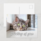 Denken aan jou - Schattig poesje Briefkaart (Voorkant / Achterkant)