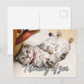 Denken aan jou - Schattige poesje Briefkaart (Voorkant / Achterkant)