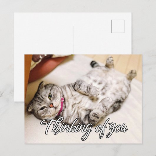 Denken aan jou - Schattige poesje Briefkaart (Voorkant / Achterkant)