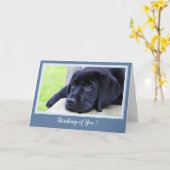 Denken aan jou - Sweet Black Labrador Puppy Kaart (Gele Bloem)