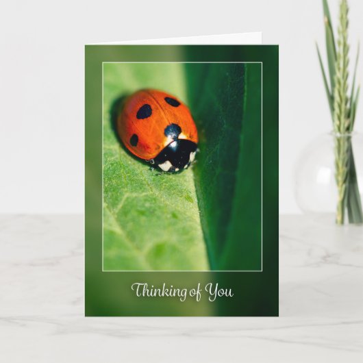 Denken aan jou voor iedereen Lady Bug Fotografie Feestdagen Kaart (Voorkant)