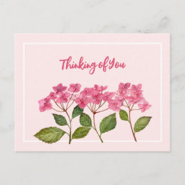 Denken aan jou Waterverf Pink Hydrangea Lacecaps Feestdagenkaart