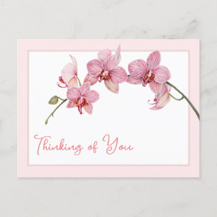 Denken aan jou Waterverf Pink Moth Orchids Feestdagenkaart