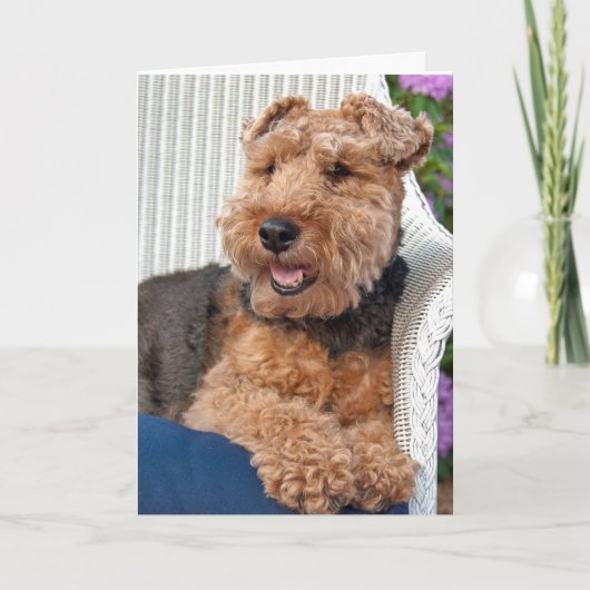 denken aan jou-Welsh Terrier op rieten stoel Kaart (Voorkant)