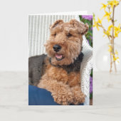 denken aan jou-Welsh Terrier op rieten stoel Kaart (Gele Bloem)