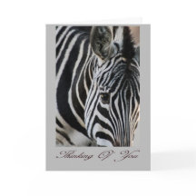 Denken aan jou - Zebra - Dier