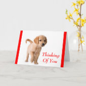 Denken aan u Golden Retriever Puppy Dog Kaart (Gele Bloem)