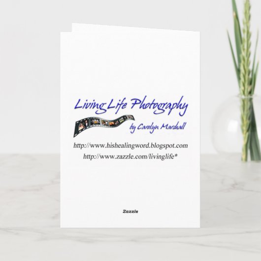 Denken aan u Hibiscus Kaart (Achterkant)