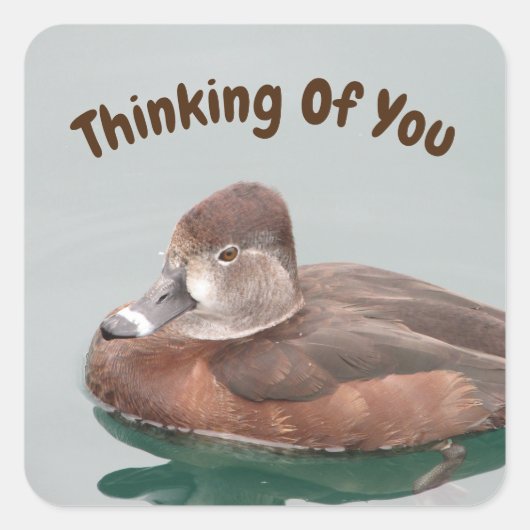 Denken aan u Lake Duck Natuur Cheer Up Vierkante Sticker (Voorkant)