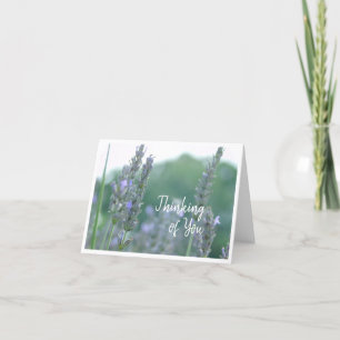 Denken aan u Lavendel Wenskaart Bedankkaart