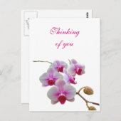 Denken aan u Orchideeën - Phalaenopsis Briefkaart (Voorkant / Achterkant)