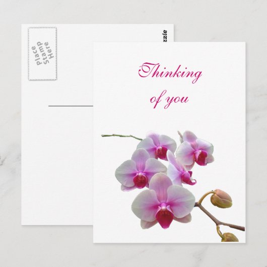 Denken aan u Orchideeën - Phalaenopsis Briefkaart (Voorkant / Achterkant)