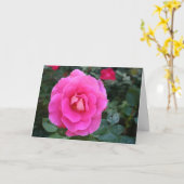 Denken aan u Roze Rose Kaart (Gele Bloem)