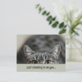 Denken aan u Schattige Cat Caption Sjabloon Briefk Briefkaart (Staand voorkant)