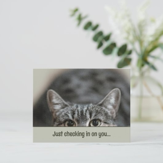 Denken aan u Schattige Cat Caption Sjabloon Briefk Briefkaart (Staand voorkant)