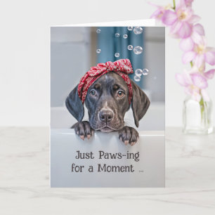 Denken aan u Schattigee Korthaar Pointer Pup in Ba Kaart
