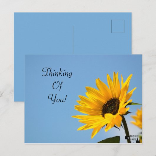Denken aan u Zonnebloem Kaart (Voorkant / Achterkant)