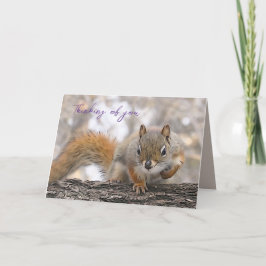 Denken aan uw kaart 7 x 5" Mr. Bickles