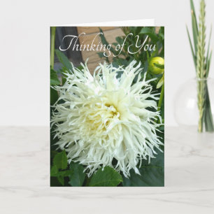 Denken aan uw kaart met witte dahlia