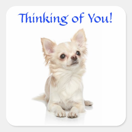 Denken aan You Chihuahua Puppy Sticker (Voorkant)