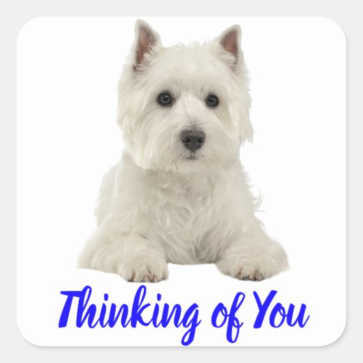 Denken aan You West Highland Terrier Puppy Dog Vierkante Sticker (Voorkant)