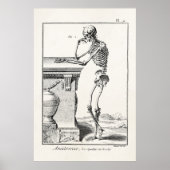  denken menselijk skelet Medische anatomie Poster (Voorkant)