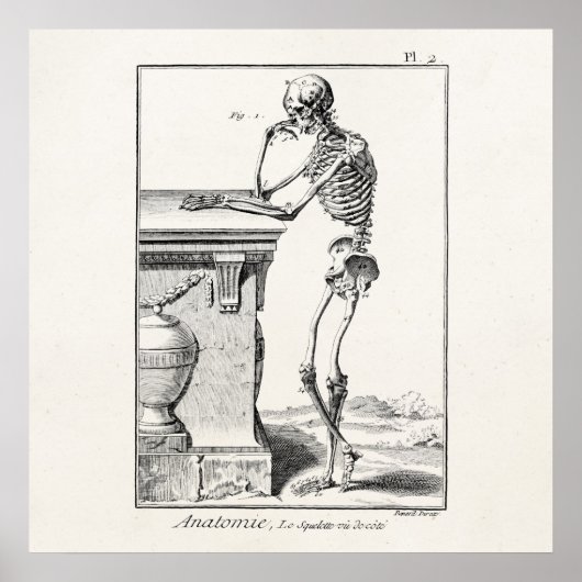 denken menselijk skelet Medische anatomie Poster (Voorkant)