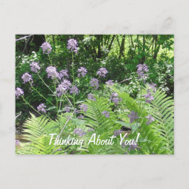 Denken over je paarse bloemen gewoon Gezegde Hi Briefkaart