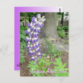 Denken over je Paarse lupine bloemen Briefkaart (Voorkant / Achterkant)
