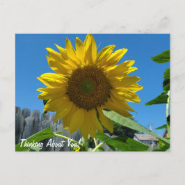 Denken over jou Zonnebloemenfotografie Briefkaart
