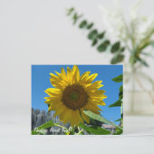 Denken over jou Zonnebloemenfotografie Briefkaart (Staand voorkant)