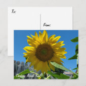 Denken over jou Zonnebloemenfotografie Briefkaart (Voorkant / Achterkant)