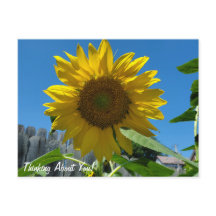 Denken over jou Zonnebloemenfotografie