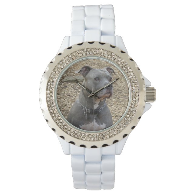 Denken Pitbull Women's Watch Horloge (Voorkant)