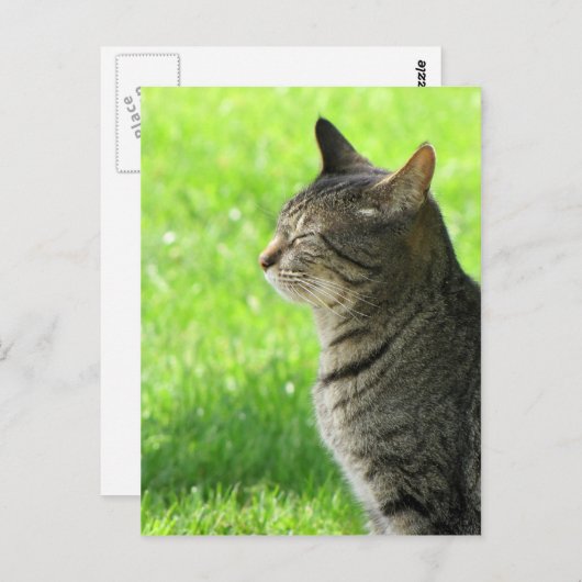 Denken ... van u ... briefkaart (Voorkant / Achterkant)