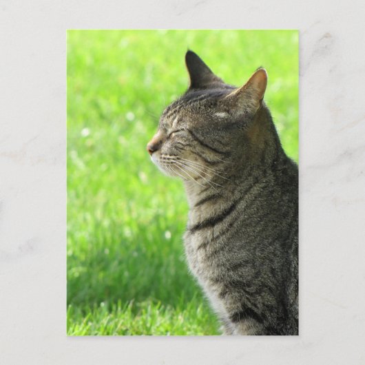 Denken ... van u ... briefkaart (Voorkant)