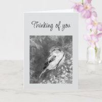 Denkend aan Jou Aquarel Mus Vogel in Bos