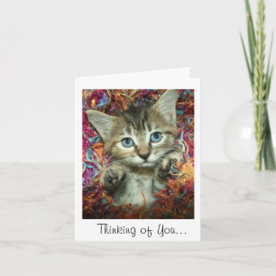 Denkend aan jou... Gray Tabby Kitten Kaart