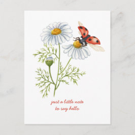 Denkend aan Jou Madeliefjes en Lieveheersbeestje Briefkaart