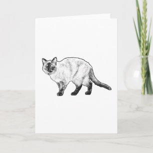 Denkend aan Jou, Nieuwsgierige Katkaart Kaart