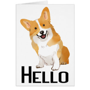 Denkend Aan Jou Schattige Puppie Hond Corgi Hallo