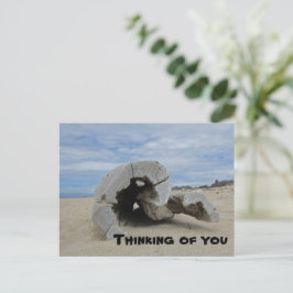 Denkend Aan Jou Stille Oceaanstrand Drijfhout Briefkaart