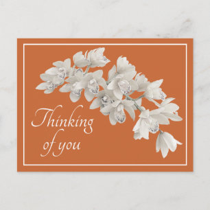 Denkend Aan Jou Witte Orchidee Moderne Botanische Briefkaart