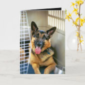 Denkend over u Kaart (Gele Bloem)