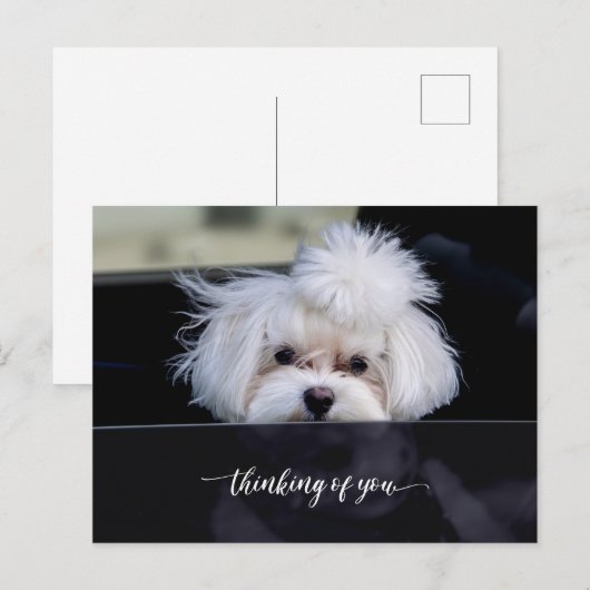 Denkt aan Jou Postkaart (Voorkant / Achterkant)