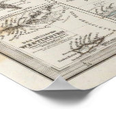 Denmark Atlas Map with 5 inset maps Poster (Hoek)